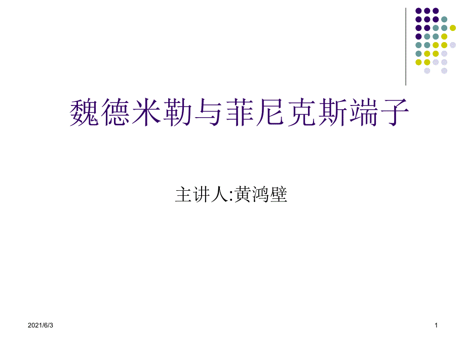 魏德米勒与菲尼克斯端子PPT优秀课件_第1页