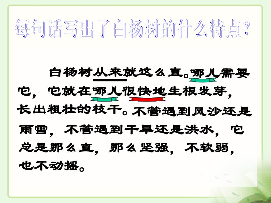 白杨教学课件12_第3页