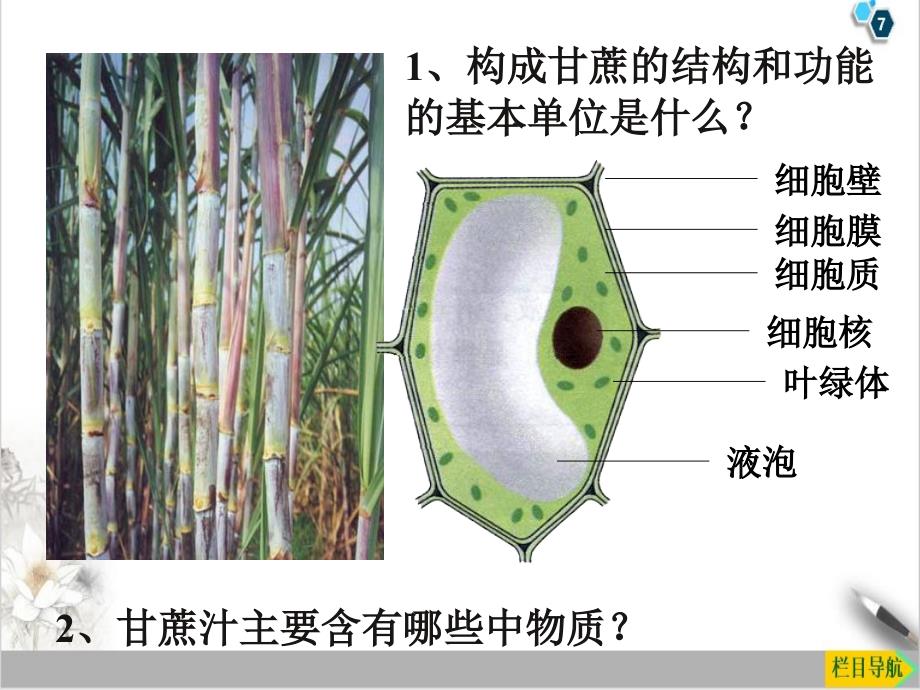 物质的构成—浙教版七级科学上册优质ppt课件_第3页