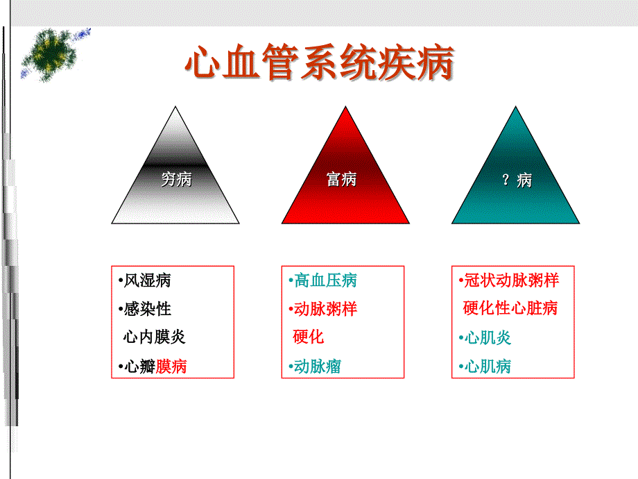 心血管系统疾PPT课件_第2页