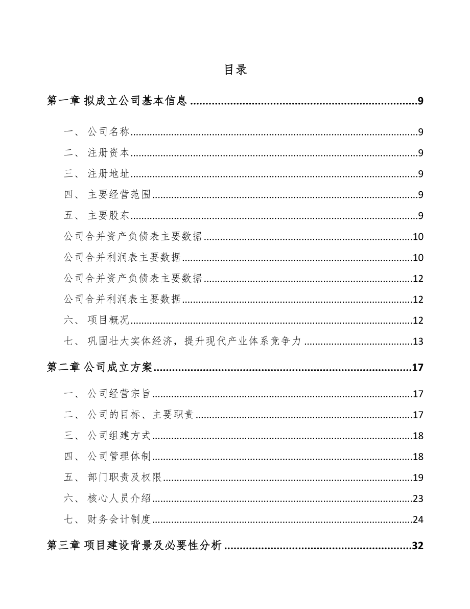 宁波关于成立存储器公司可行性研究报告_第4页