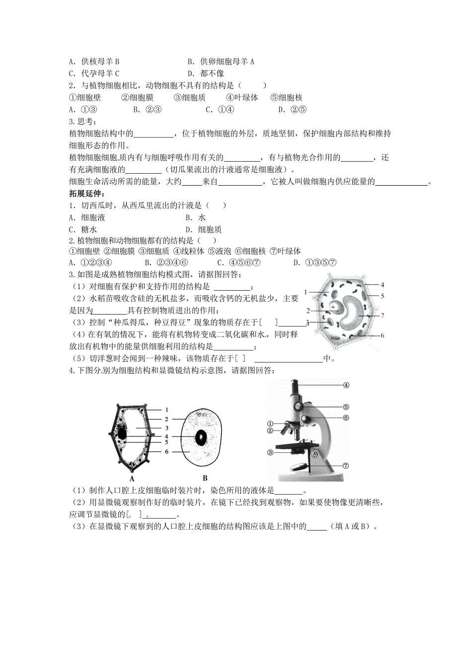 七年级生物下册-7.1《生物体的基本结构》学案(无答案)-苏科版_第4页