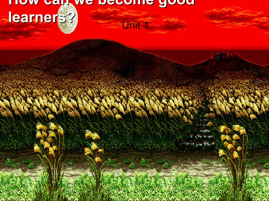 2014Unit1全单元课件_How_can_we_become_good_learners_第1页