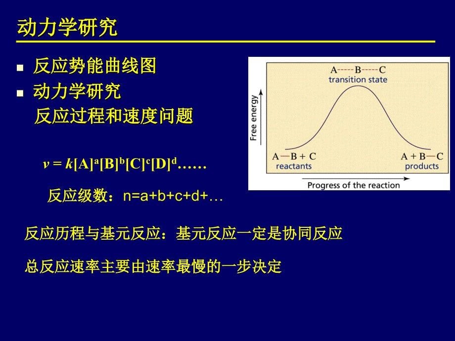 中山大学有机化学课件期末考试总纲120310_第5页