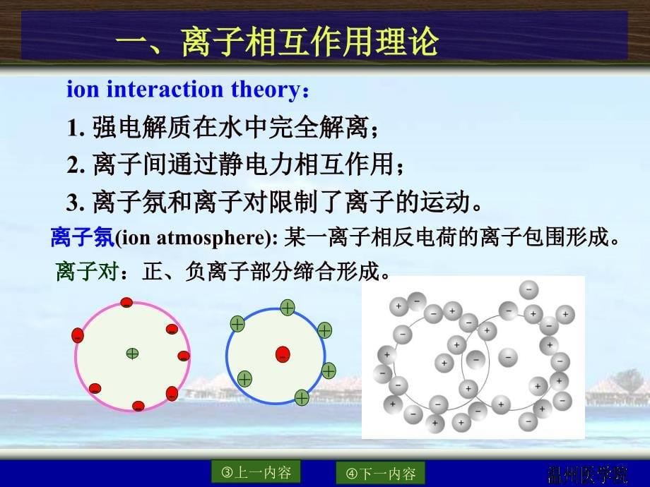 基础化学：第二章 电解质溶液_第5页