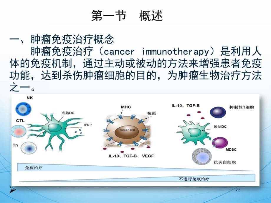 （医学课件）肿瘤免疫治疗.ppt_第5页