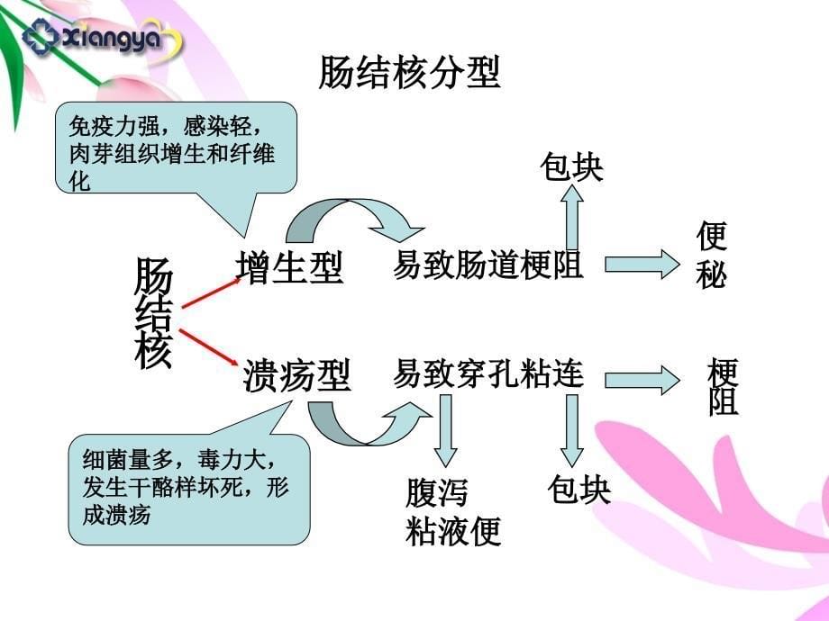 第5节肠结核结核性腹膜炎课件_第5页