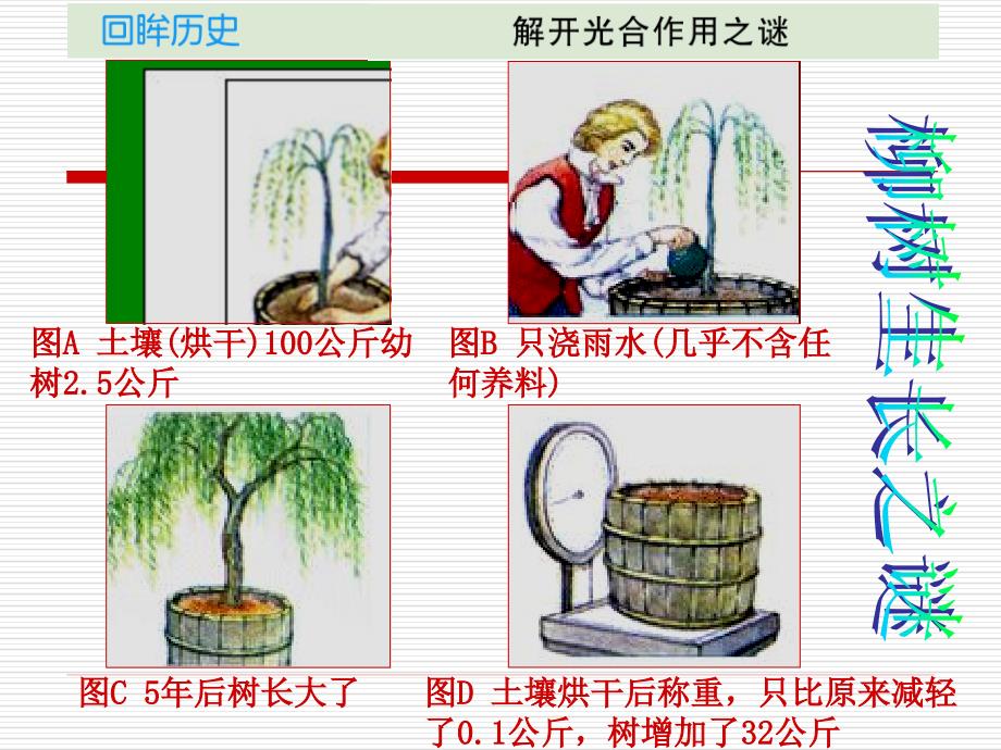 光合作用吸收CO2放出O2（1）_第3页