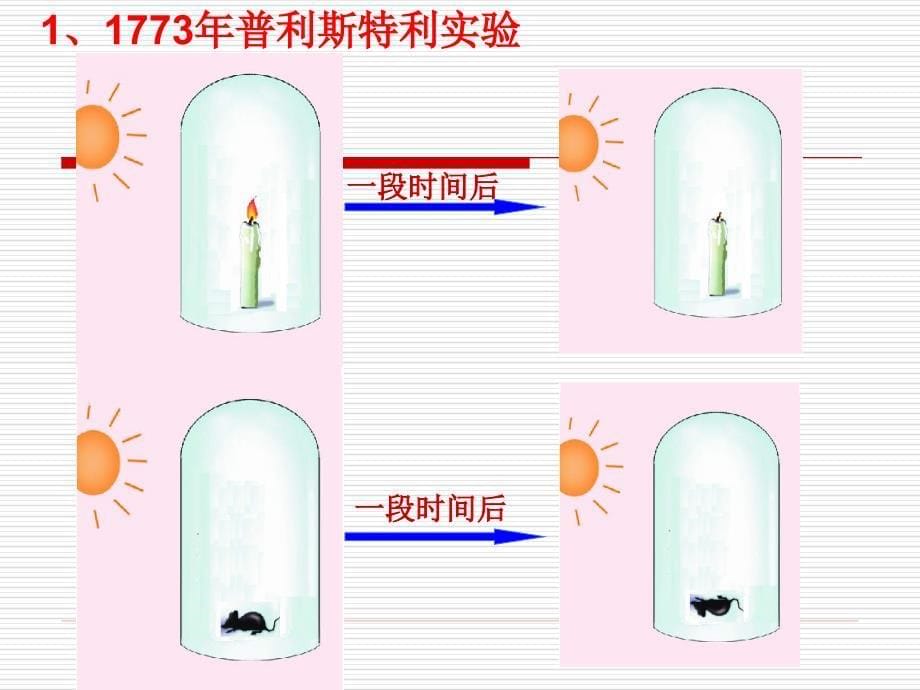 光合作用吸收CO2放出O2（1）_第5页