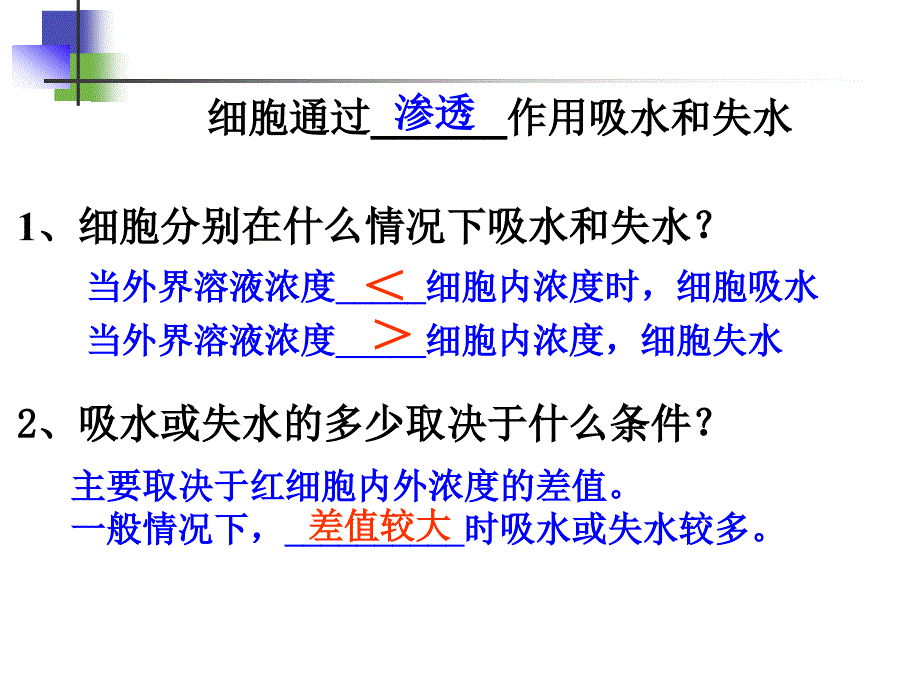 细胞的物质输入和输出复习ppt课件_第2页