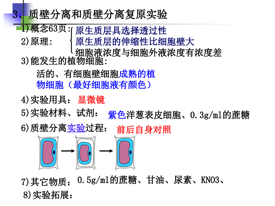 细胞的物质输入和输出复习ppt课件_第4页