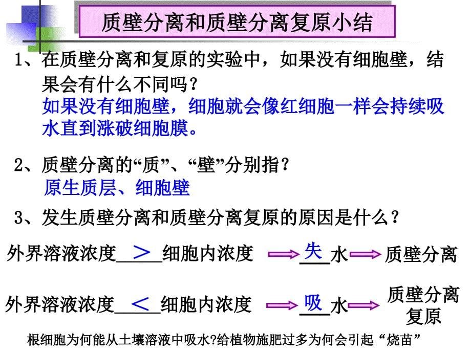 细胞的物质输入和输出复习ppt课件_第5页