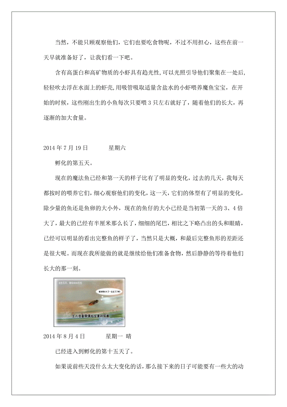 魔法鱼孵化实验日记.doc_第4页