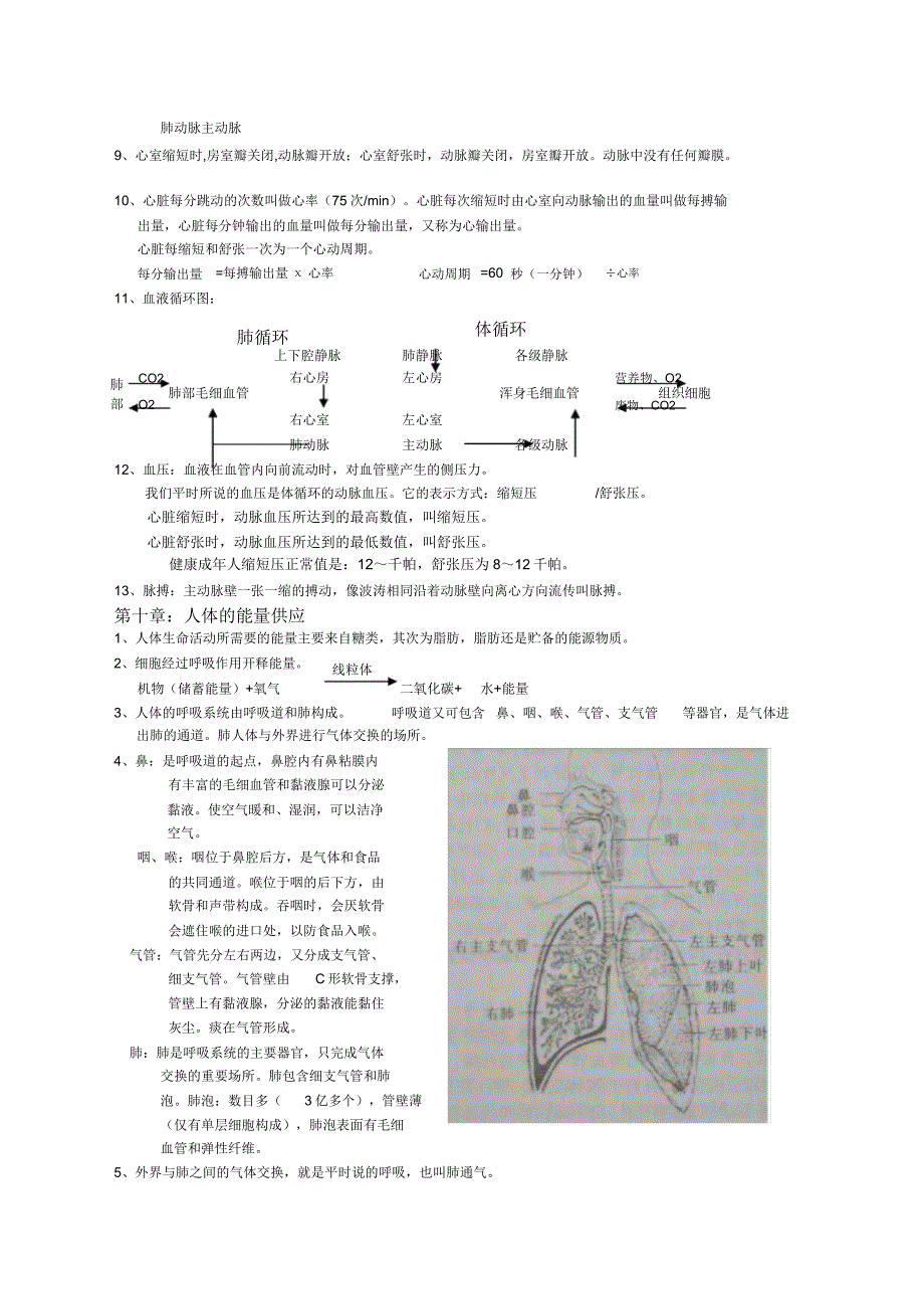 北师大七年级下册生物复习提纲.doc_第3页