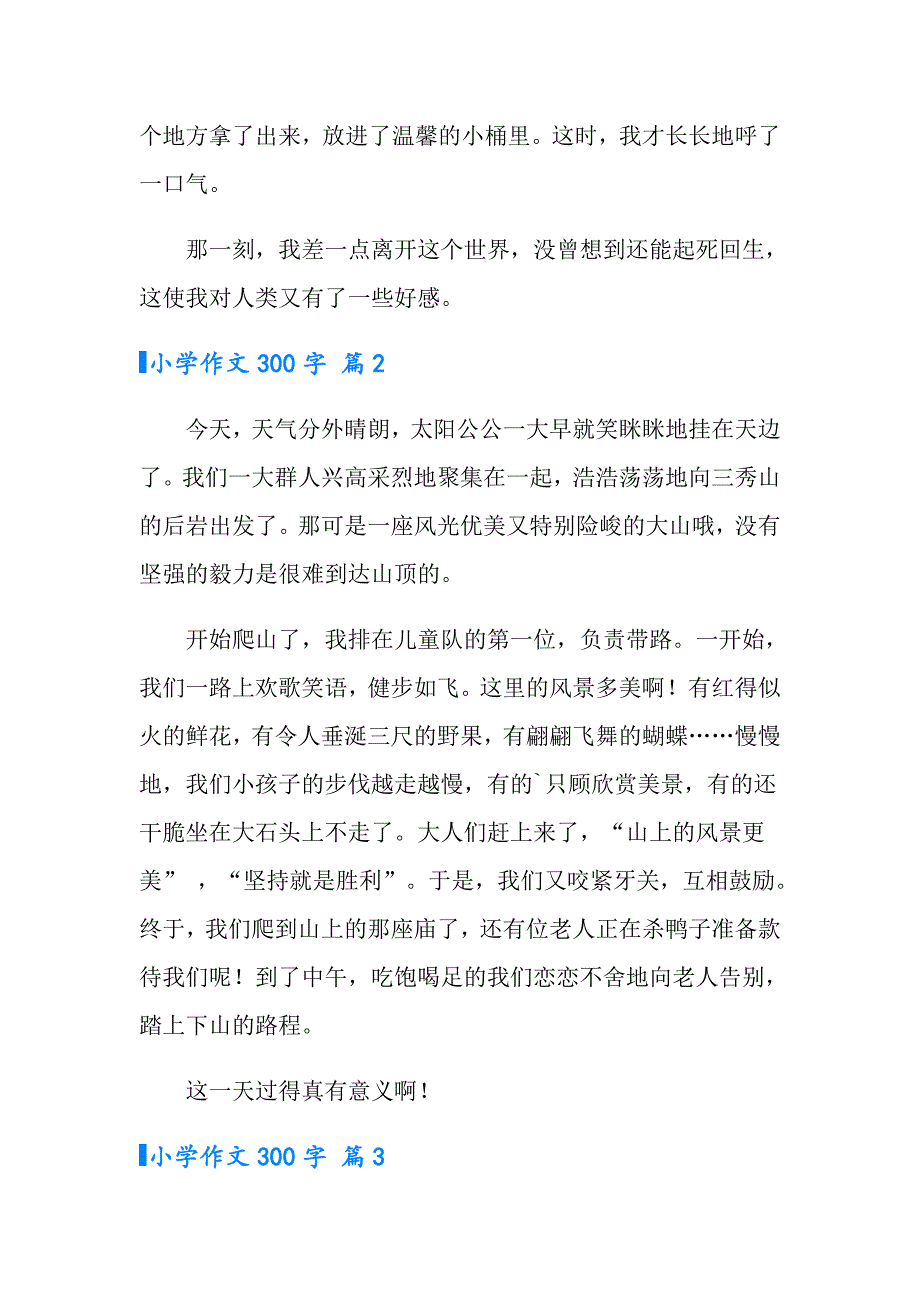 2022年小学作文300字8篇【精选汇编】_第2页