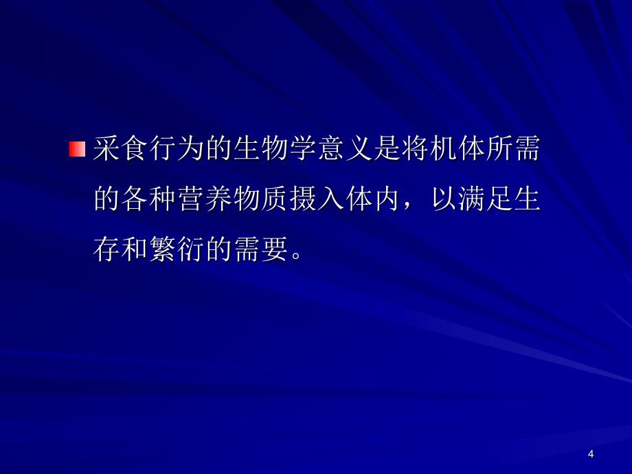 12.13次动物的觅食行为_第4页