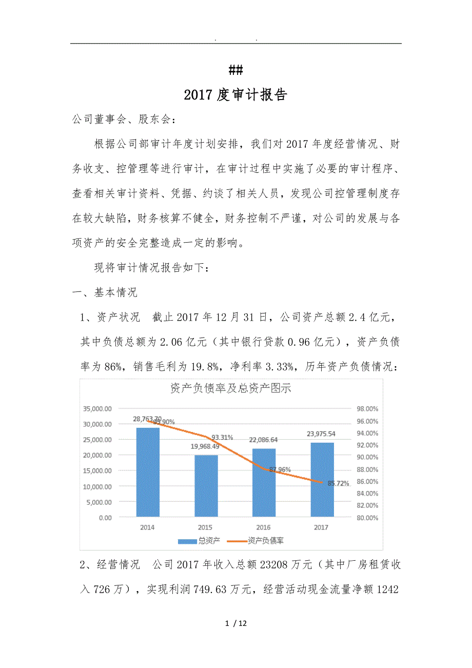 内部审计报告_第1页