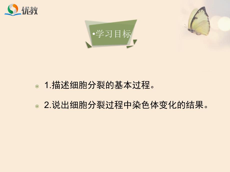 《细胞通过分裂产生新细胞》优教课件1_第4页