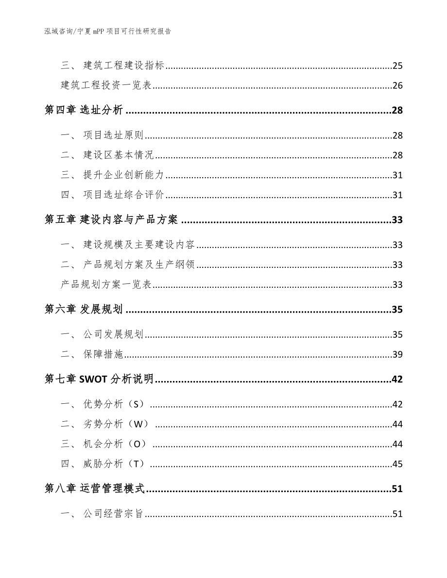 宁夏mPP项目可行性研究报告_第3页