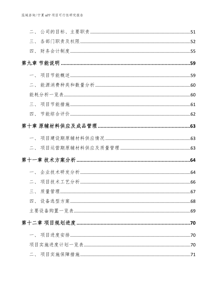 宁夏mPP项目可行性研究报告_第4页