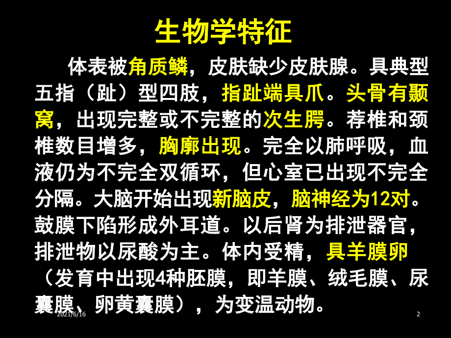 爬行纲PPT课件_第2页