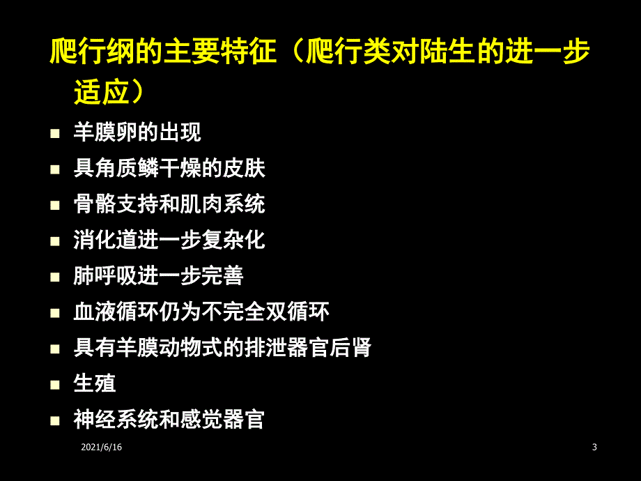 爬行纲PPT课件_第3页