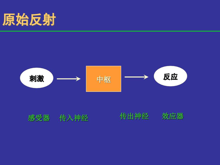 妇幼保健学课件-婴儿神经反射与发育里程碑的评定.ppt_第2页