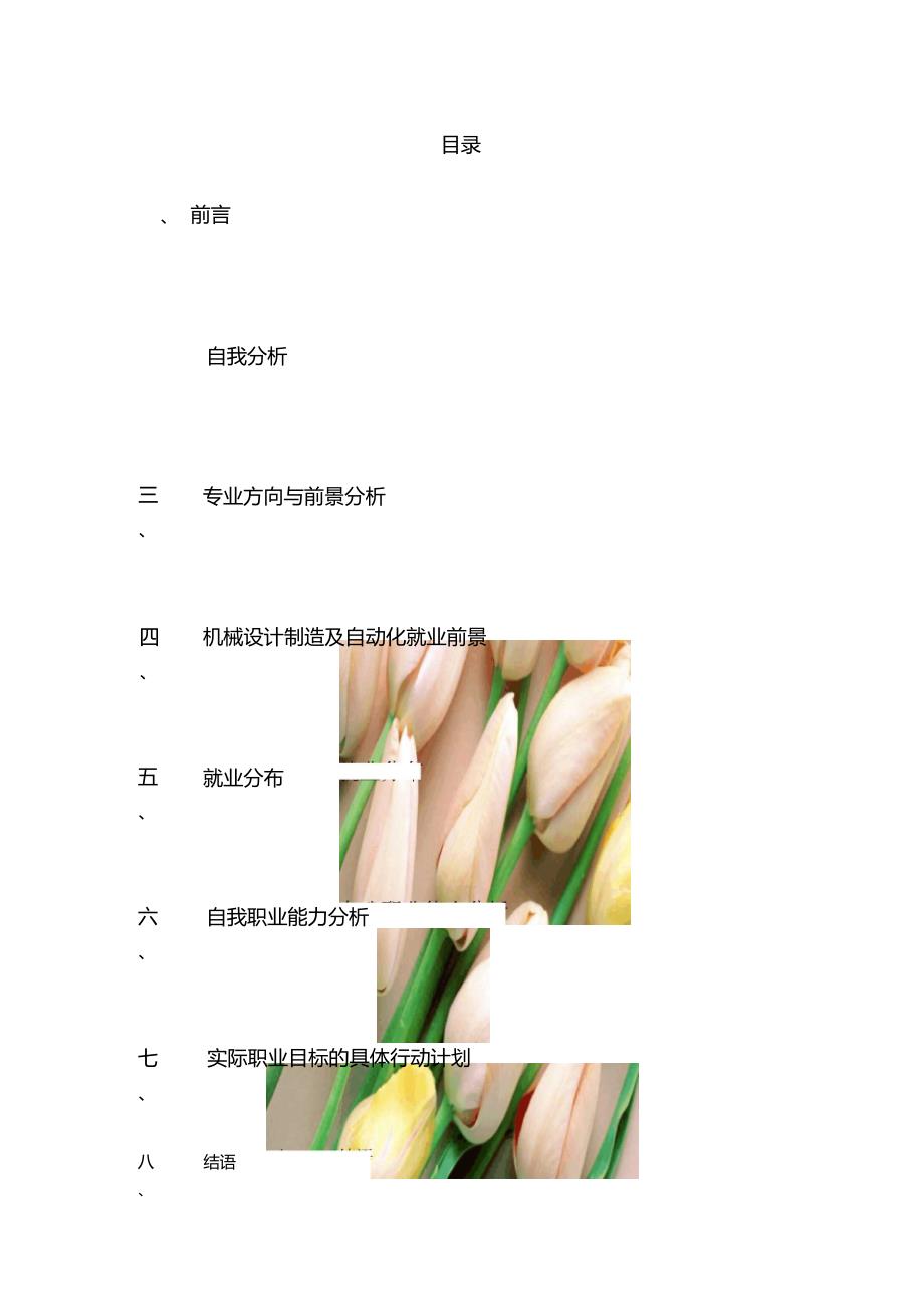 大学生职业规划(机械设计)_第2页