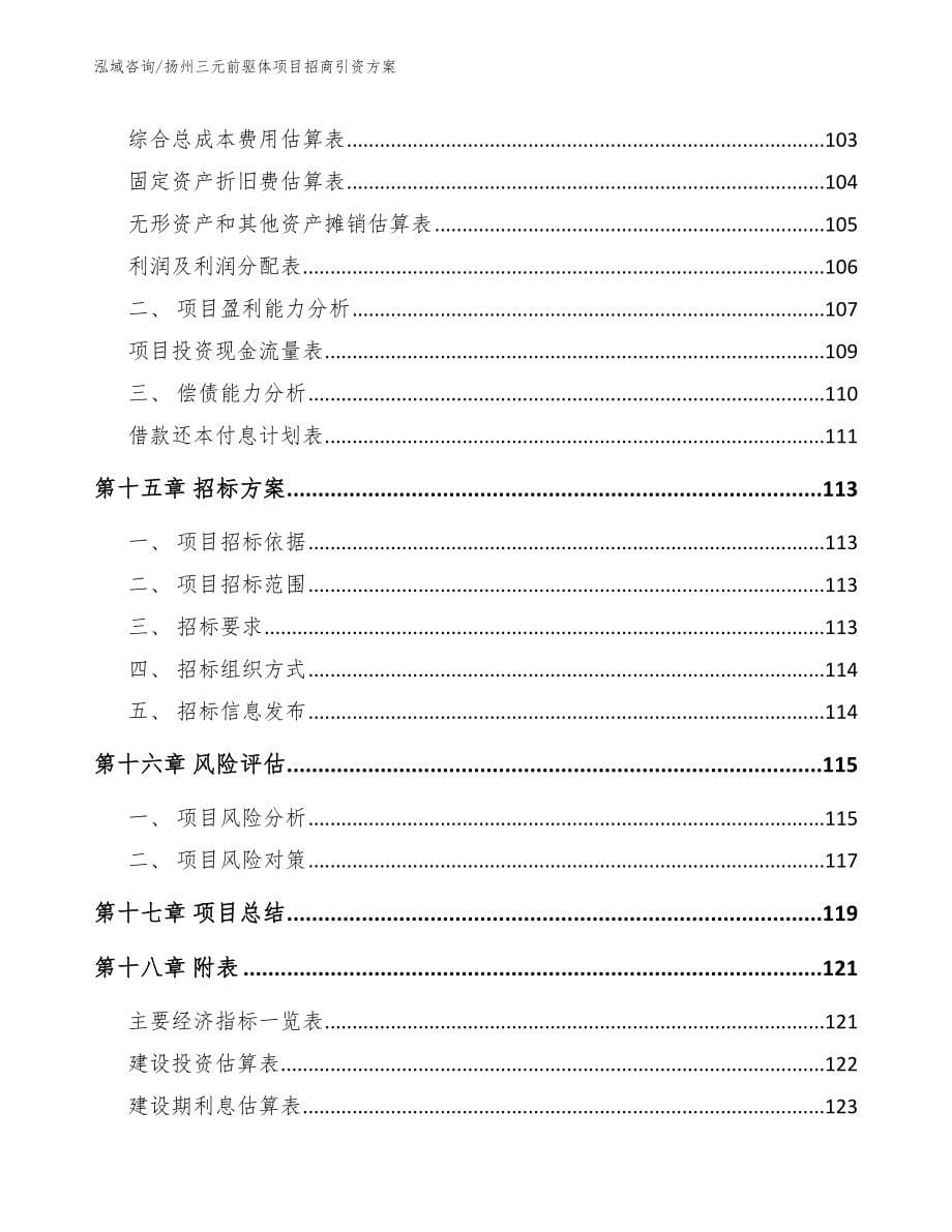 扬州三元前驱体项目招商引资方案（范文）_第5页