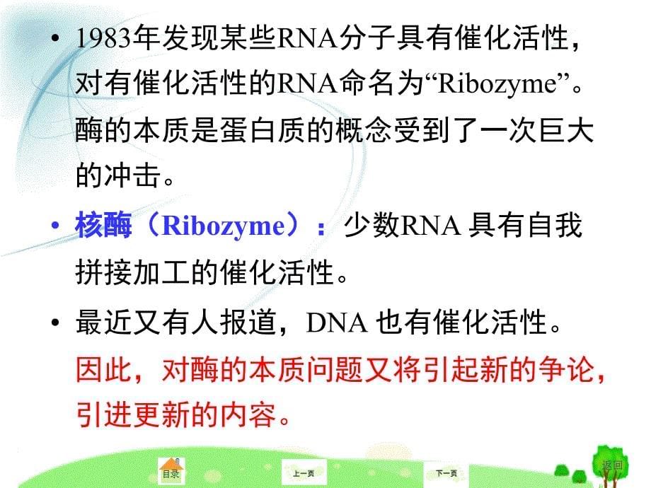 生物化学：第三章 酶_第5页