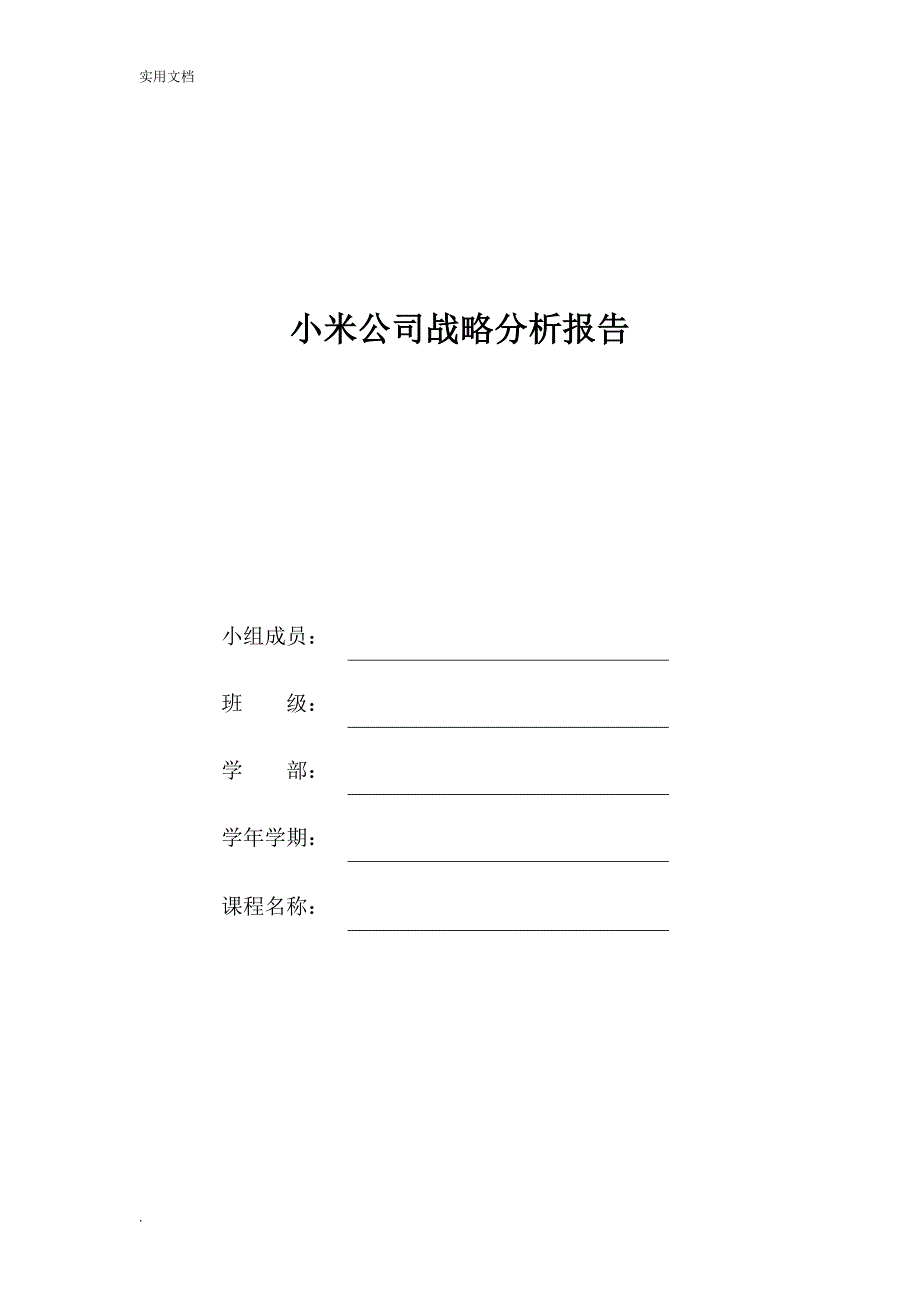 小米公司战略分析报告_第1页