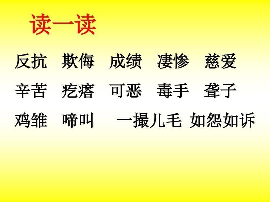 你眼中的母鸡是一种怎样的动物_第5页