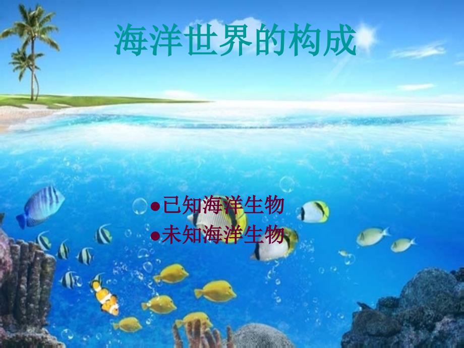 多彩的海洋世界_第2页