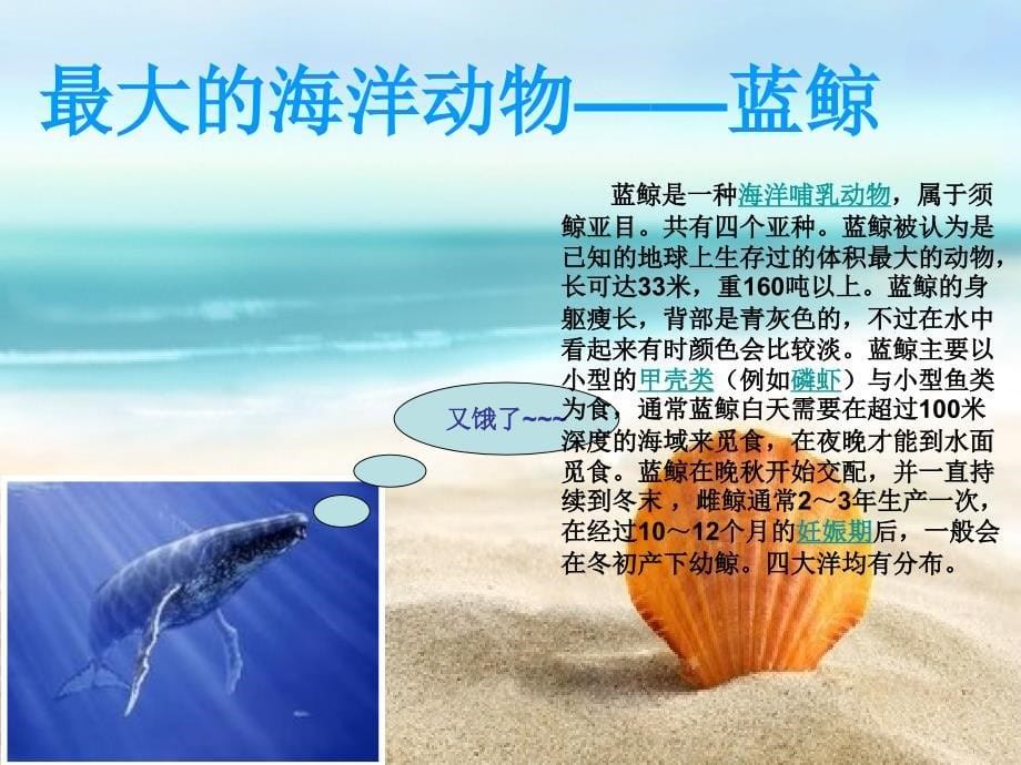 多彩的海洋世界_第5页