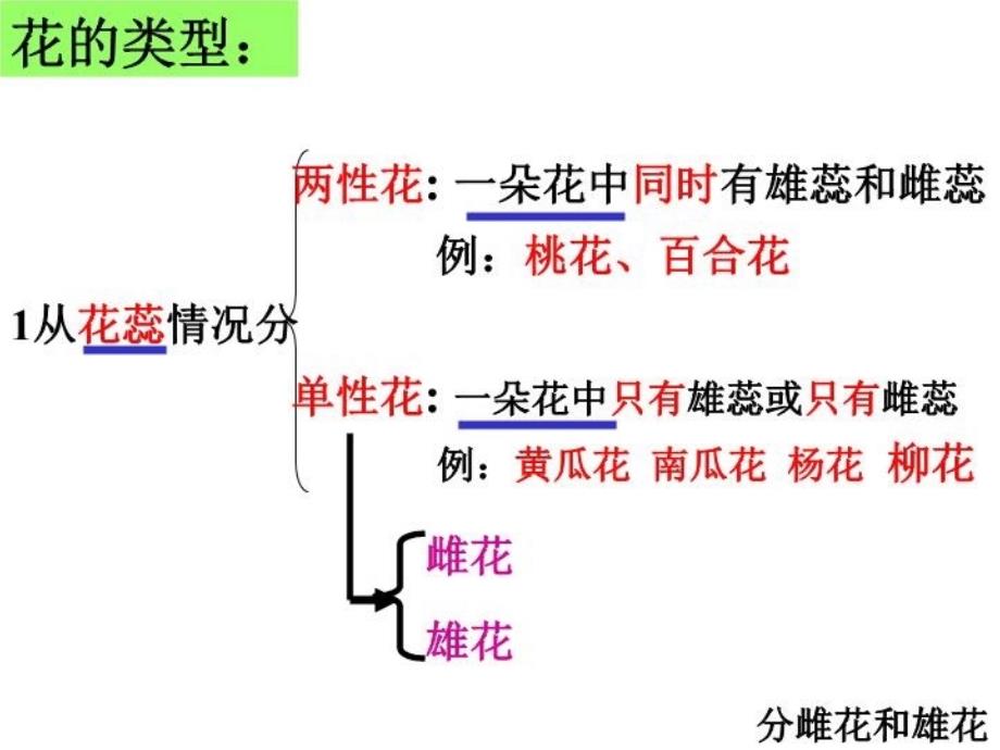 最新复习第一章绿色开花植物的一生幻灯片_第4页