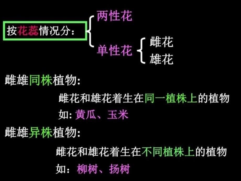 最新复习第一章绿色开花植物的一生幻灯片_第5页