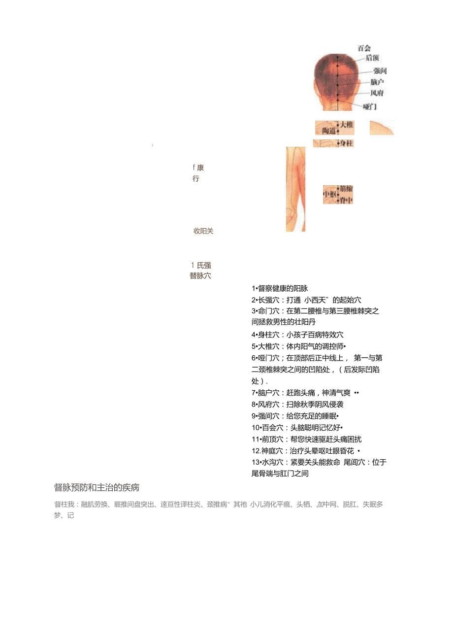 全身14经络示范图_第5页