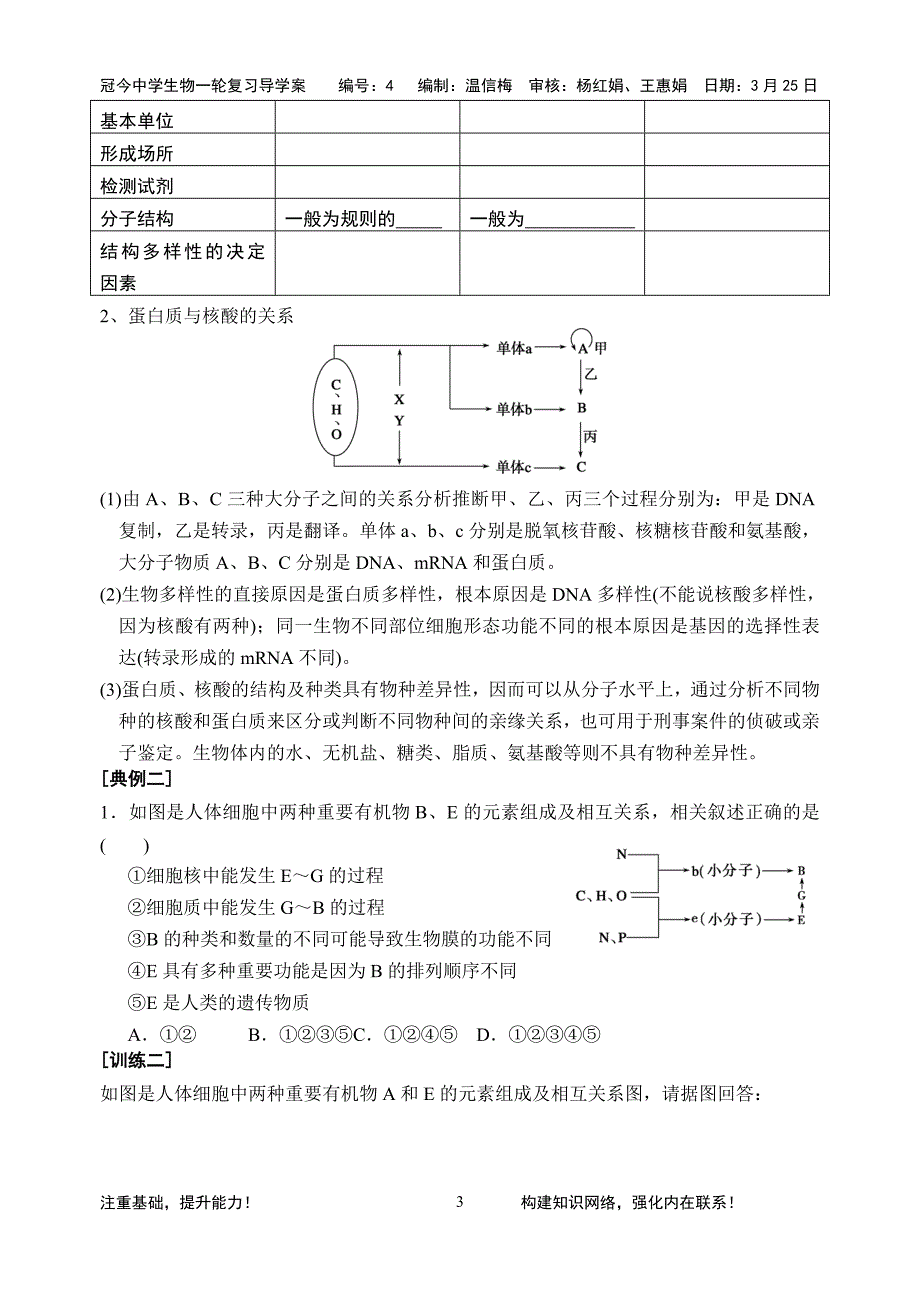 一轮复习---核酸_第3页