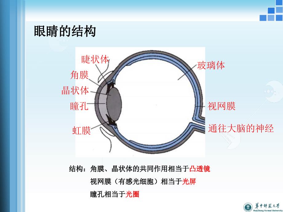 d电影ppt课件_第4页