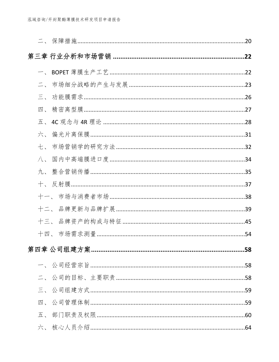 开封聚酯薄膜技术研发项目申请报告（参考模板）_第4页