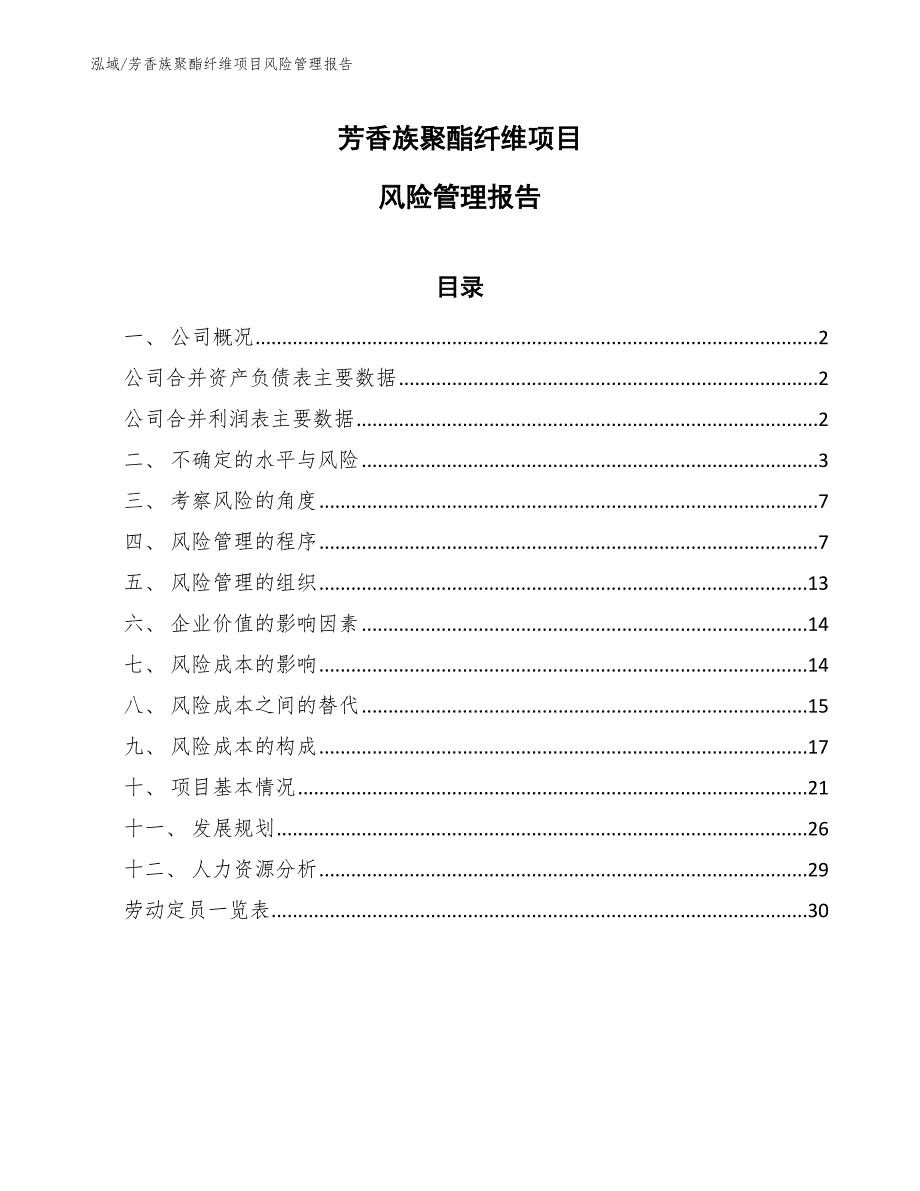 芳香族聚酯纤维项目风险管理报告_第1页