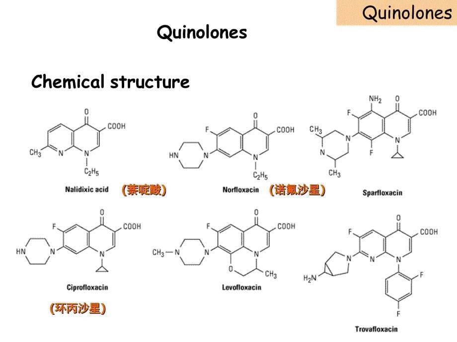 人工合成抗菌药PPT课件_第5页