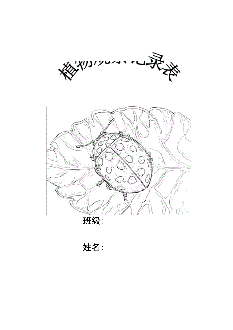 植物观察记录表_第1页