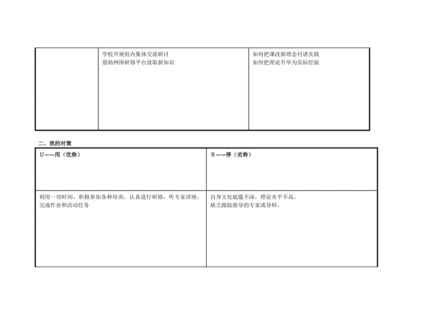 宋利民个人SWOT分析表.doc_第2页