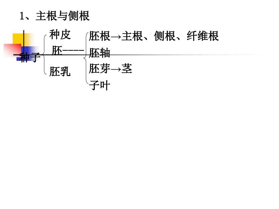 器官具一定外部形态与内部结构由多种组织构成执行_第5页