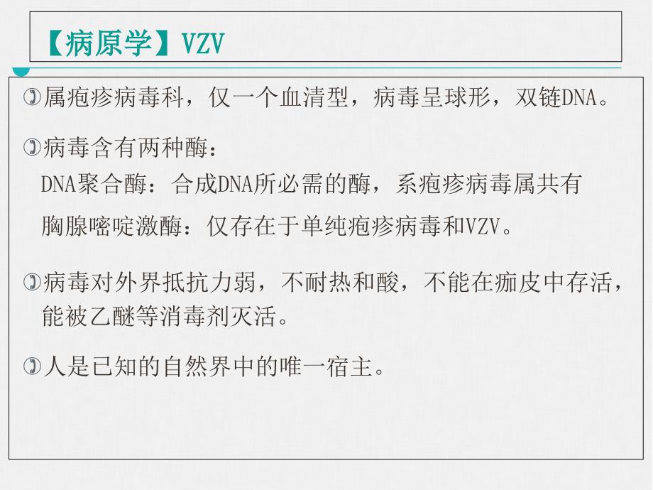 传染病学第八版配套课件水痘和带状疱疹_第3页