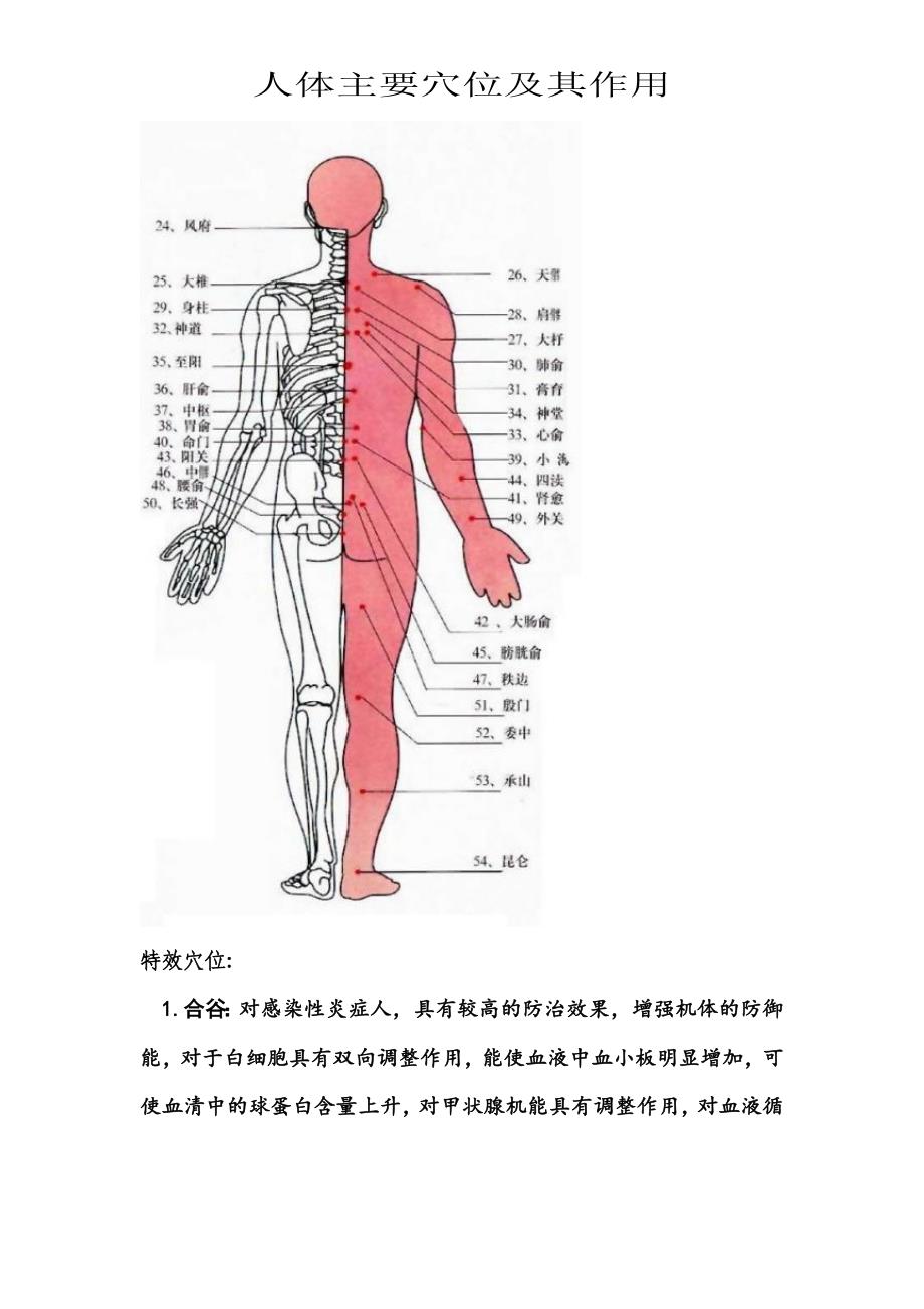 仲氏堂人体穴位及其作用_第2页