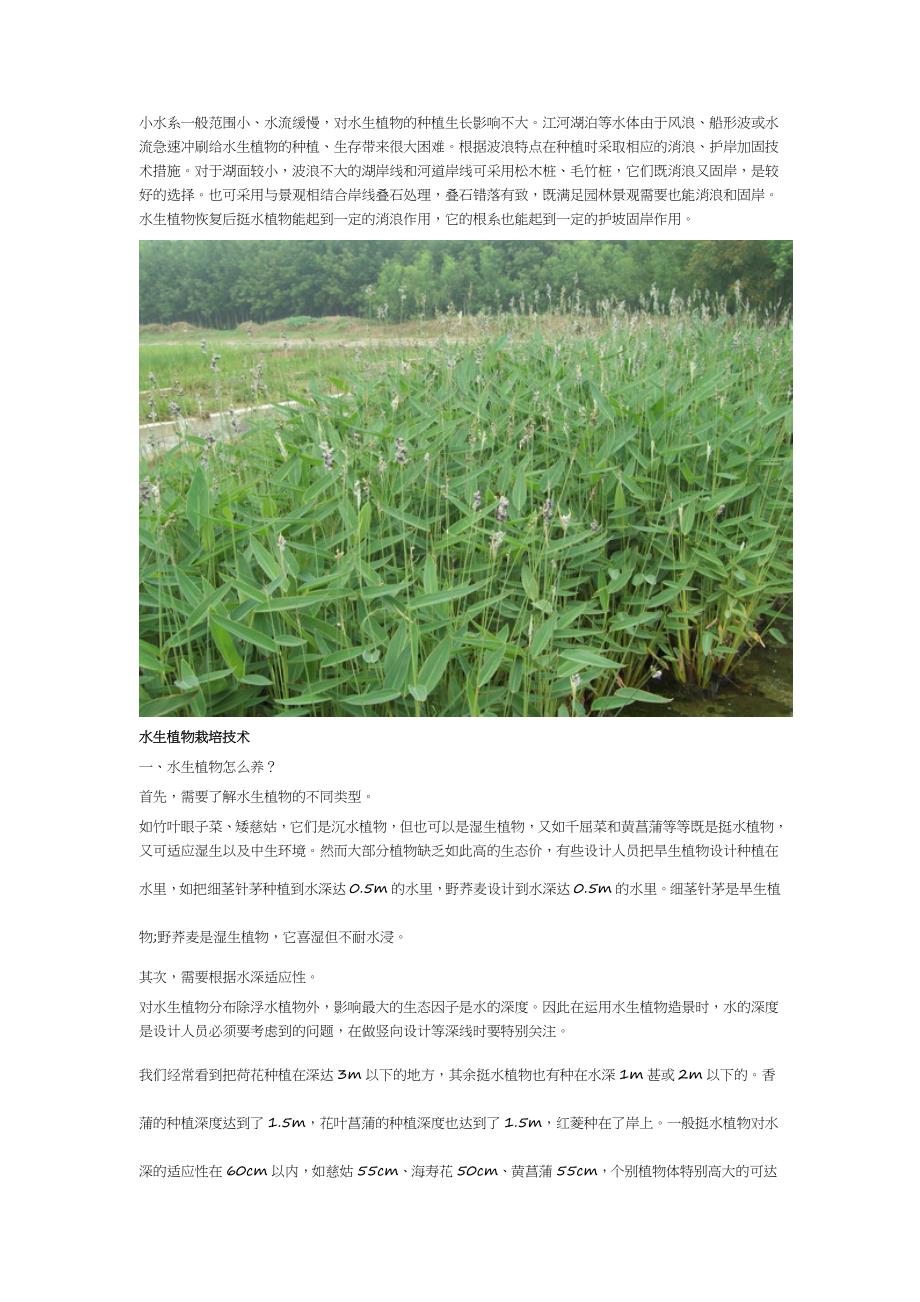 水生植物的栽培与园林养护要点.doc_第2页