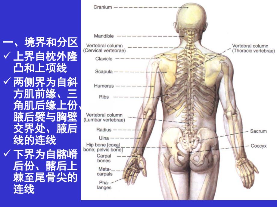 《jz脊柱区》电子版本_第3页