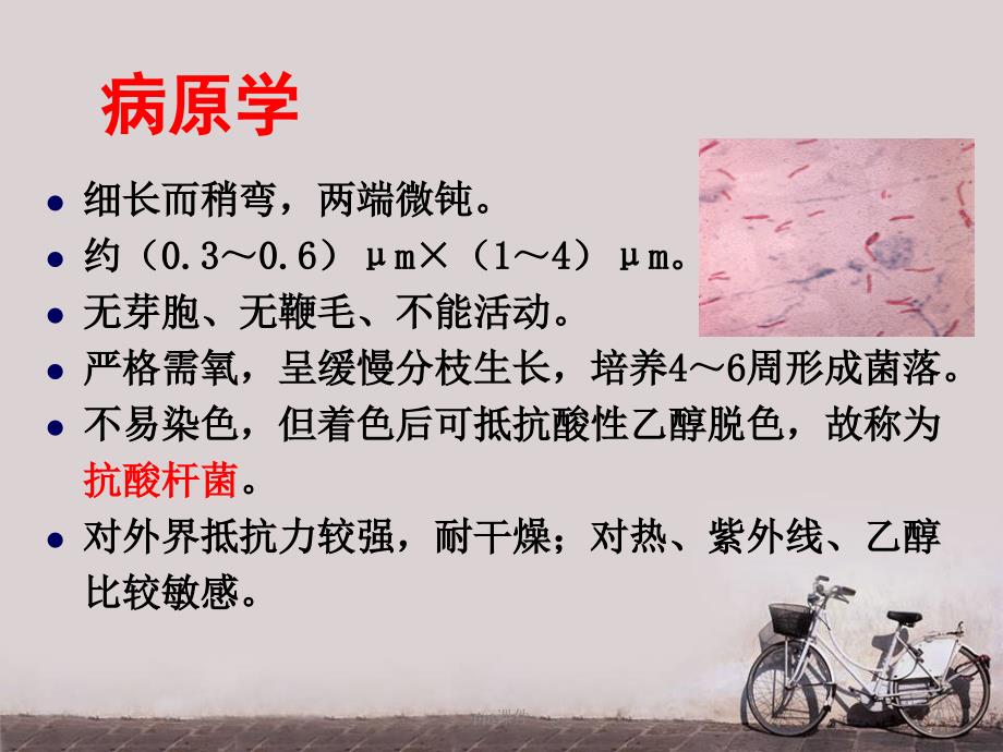 传染病学结核病ppt课件_第4页